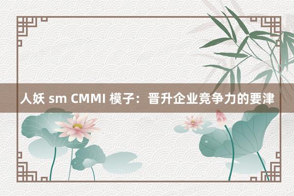 人妖 sm CMMI 模子：晋升企业竞争力的要津