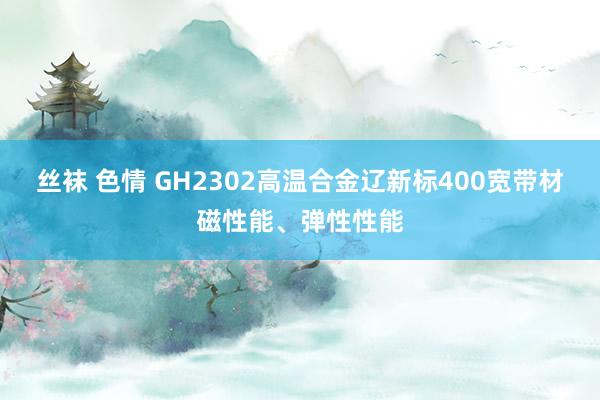 丝袜 色情 GH2302高温合金辽新标400宽带材磁性能、弹性性能