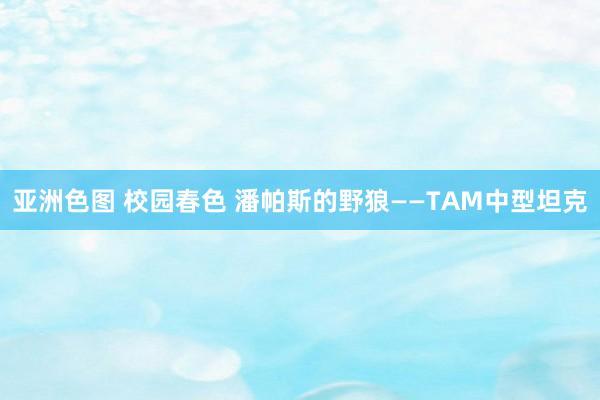 亚洲色图 校园春色 潘帕斯的野狼——TAM中型坦克