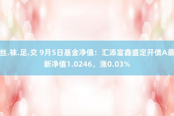 丝.袜.足.交 9月5日基金净值：汇添富鑫盛定开债A最新净值1.0246，涨0.03%