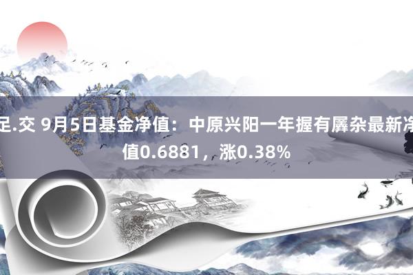 足.交 9月5日基金净值：中原兴阳一年握有羼杂最新净值0.6881，涨0.38%