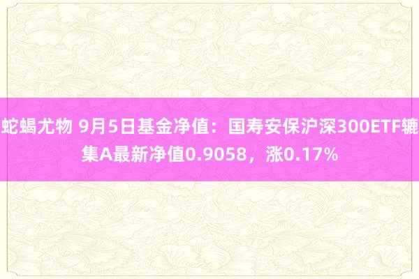 蛇蝎尤物 9月5日基金净值：国寿安保沪深300ETF辘集A最新净值0.9058，涨0.17%