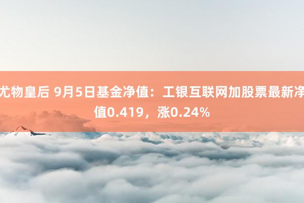 尤物皇后 9月5日基金净值：工银互联网加股票最新净值0.419，涨0.24%