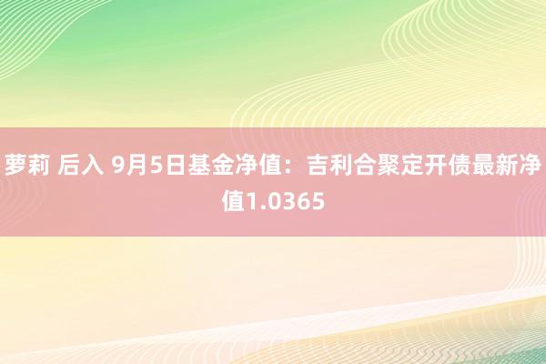 萝莉 后入 9月5日基金净值：吉利合聚定开债最新净值1.0365