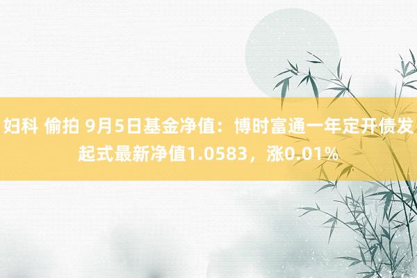 妇科 偷拍 9月5日基金净值：博时富通一年定开债发起式最新净值1.0583，涨0.01%