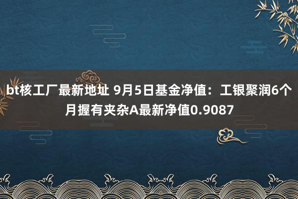 bt核工厂最新地址 9月5日基金净值：工银聚润6个月握有夹杂A最新净值0.9087