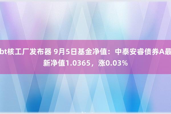 bt核工厂发布器 9月5日基金净值：中泰安睿债券A最新净值1.0365，涨0.03%