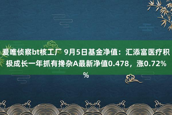 爰唯侦察bt核工厂 9月5日基金净值：汇添富医疗积极成长一年抓有搀杂A最新净值0.478，涨0.72%