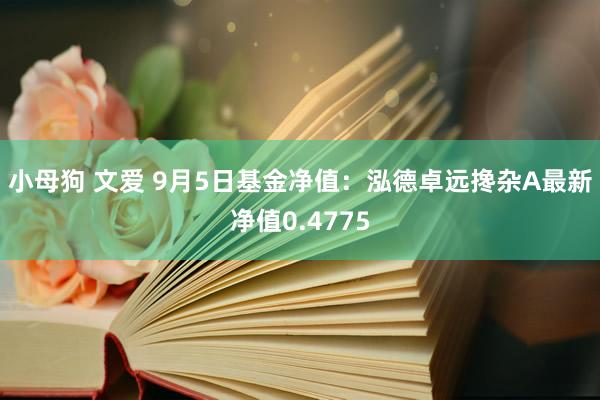 小母狗 文爱 9月5日基金净值：泓德卓远搀杂A最新净值0.4775