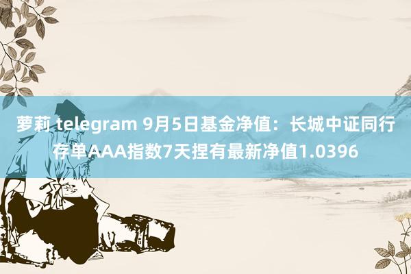 萝莉 telegram 9月5日基金净值：长城中证同行存单AAA指数7天捏有最新净值1.0396