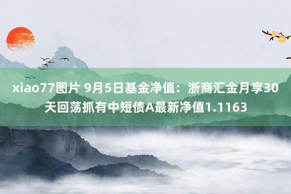 xiao77图片 9月5日基金净值：浙商汇金月享30天回荡抓有中短债A最新净值1.1163