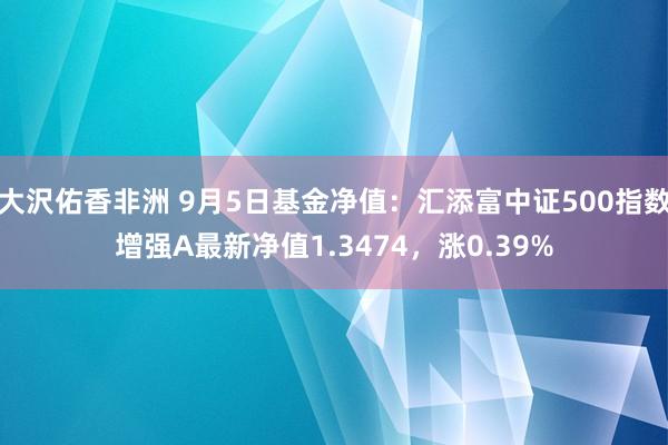 大沢佑香非洲 9月5日基金净值：汇添富中证500指数增强A最新净值1.3474，涨0.39%