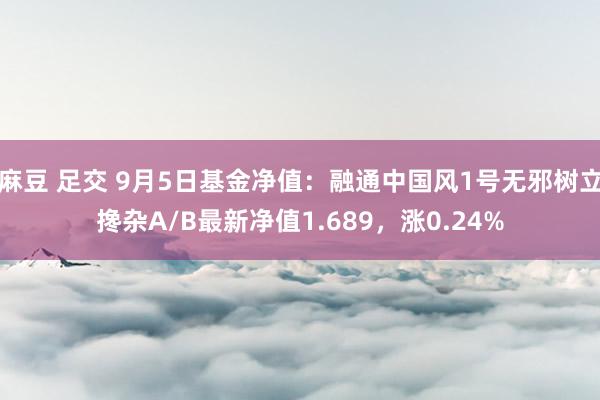 麻豆 足交 9月5日基金净值：融通中国风1号无邪树立搀杂A/B最新净值1.689，涨0.24%