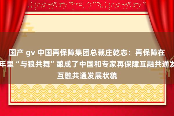 国产 gv 中国再保障集团总裁庄乾志：再保障在畴昔20年里“与狼共舞”酿成了中国和专家再保障互融共通发展状貌