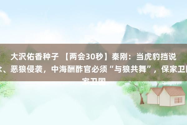 大沢佑香种子 【两会30秒】秦刚：当虎豹挡说念、恶狼侵袭，中海酬酢官必须“与狼共舞”，保家卫国