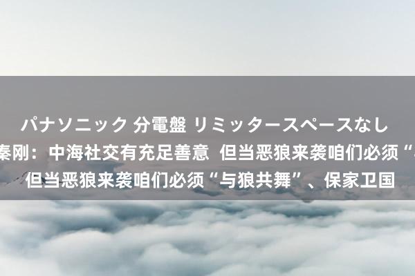 パナソニック 分電盤 リミッタースペースなし 露出・半埋込両用形 秦刚：中海社交有充足善意  但当恶狼来袭咱们必须“与狼共舞”、保家卫国