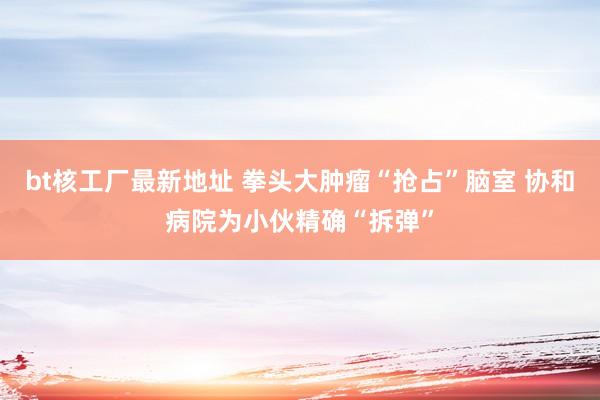 bt核工厂最新地址 拳头大肿瘤“抢占”脑室 协和病院为小伙精确“拆弹”