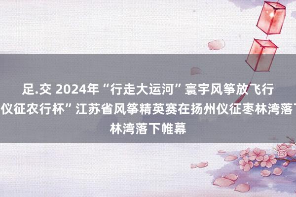 足.交 2024年“行走大运河”寰宇风筝放飞行动暨“仪征农行杯”江苏省风筝精英赛在扬州仪征枣林湾落下帷幕