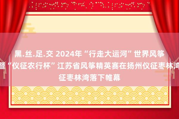 黑.丝.足.交 2024年“行走大运河”世界风筝放飞活动暨“仪征农行杯”江苏省风筝精英赛在扬州仪征枣林湾落下帷幕