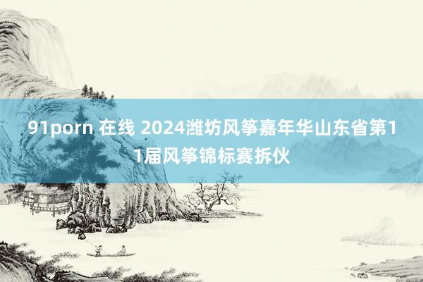 91porn 在线 2024潍坊风筝嘉年华山东省第11届风筝锦标赛拆伙