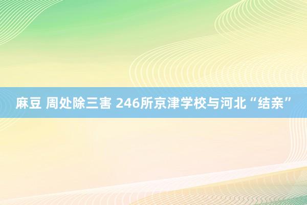 麻豆 周处除三害 246所京津学校与河北“结亲”