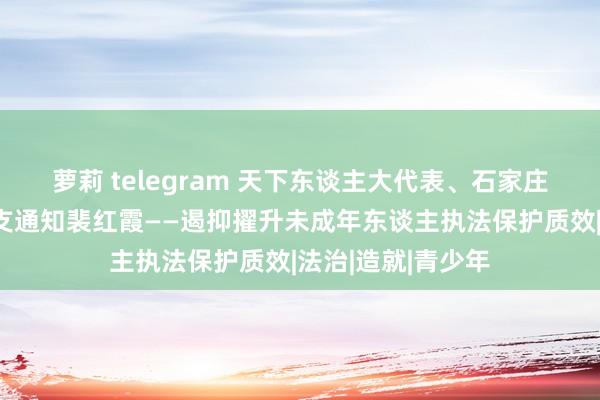 萝莉 telegram 天下东谈主大代表、石家庄番邦语学校党总支通知裴红霞——遏抑擢升未成年东谈主执法保护质效|法治|造就|青少年