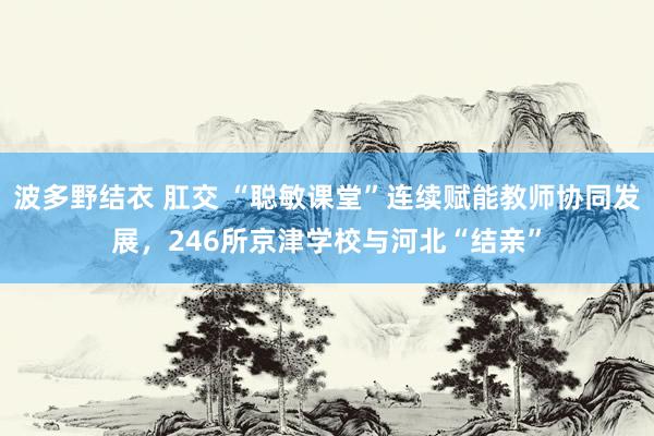 波多野结衣 肛交 “聪敏课堂”连续赋能教师协同发展，246所京津学校与河北“结亲”