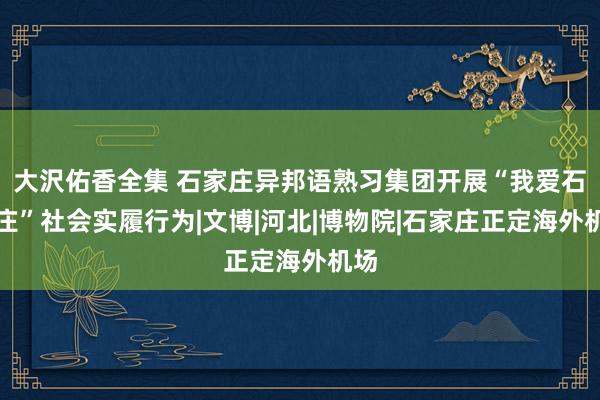 大沢佑香全集 石家庄异邦语熟习集团开展“我爱石家庄”社会实履行为|文博|河北|博物院|石家庄正定海外机场